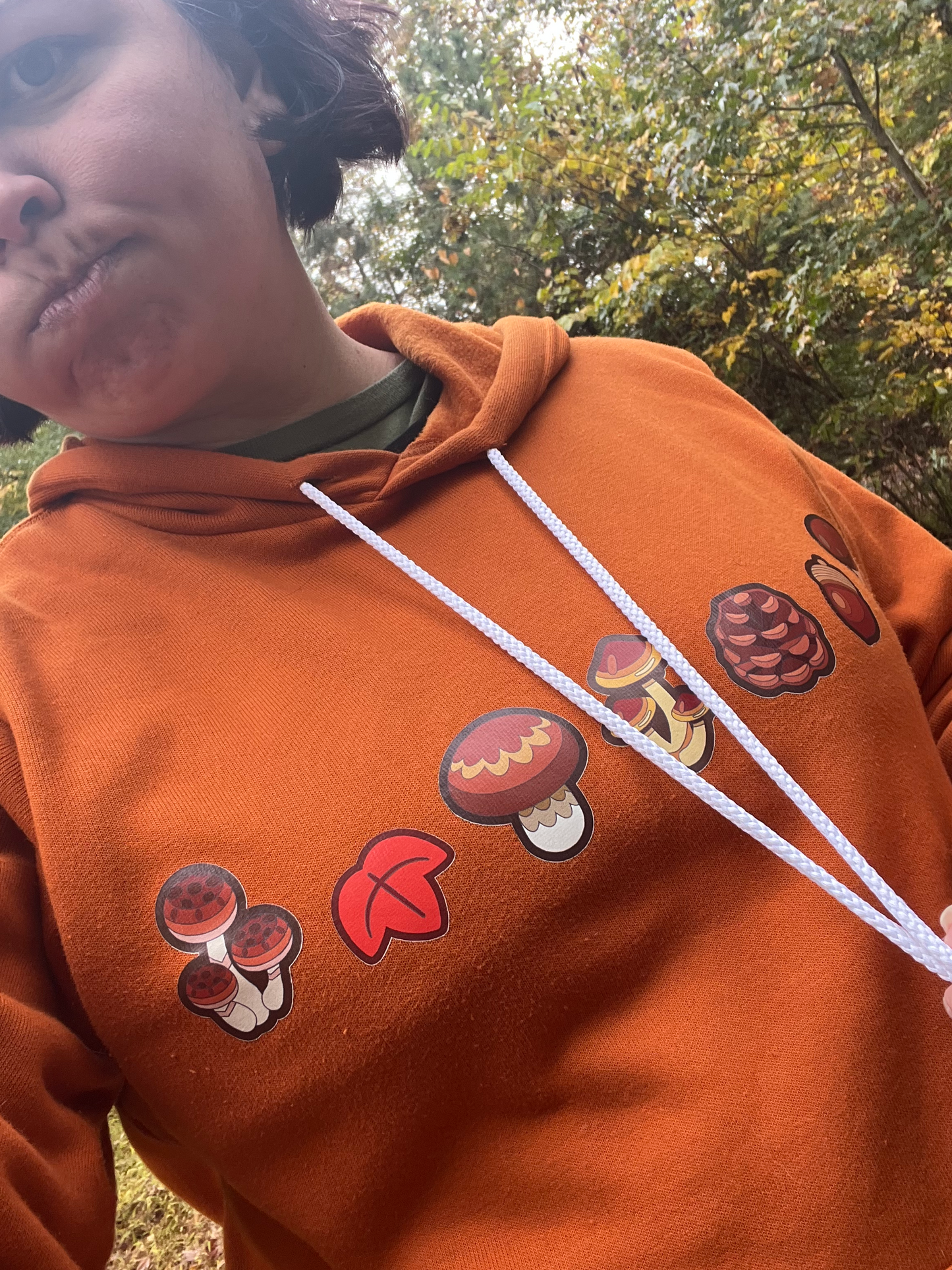 Autumn Mushrooms Animal Crossing Pullover Hoodie