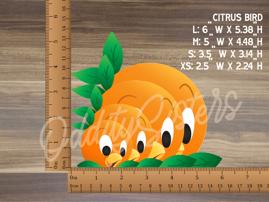 a ruler with three oranges on it